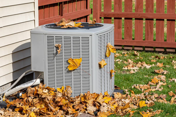 Best Local HVAC Companies  in Hampshire, IL